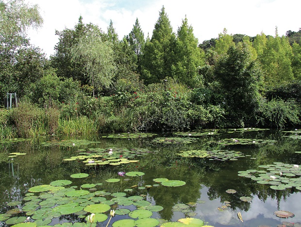 Kitagawa's Marmotten garden, Japanese garden