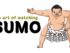 Sumo NHK World Japan Yokozuna Dosukoi