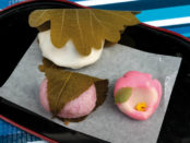 Wagashi-Tokyo-japanese traditional-sweet