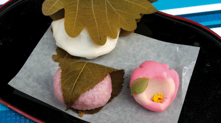 Wagashi-Tokyo-japanese traditional-sweet