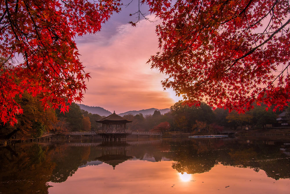 The Beauty of Japanese Autumn – by June Miyoshi