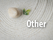 ec_other