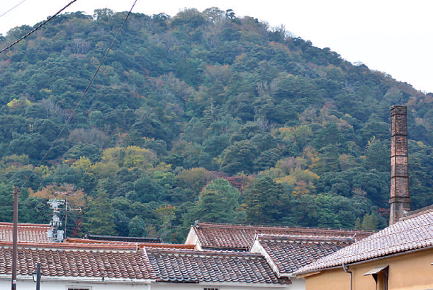 No9 [Travel] Onomichi, from Ozu to Wenders | ZOOM JAPAN