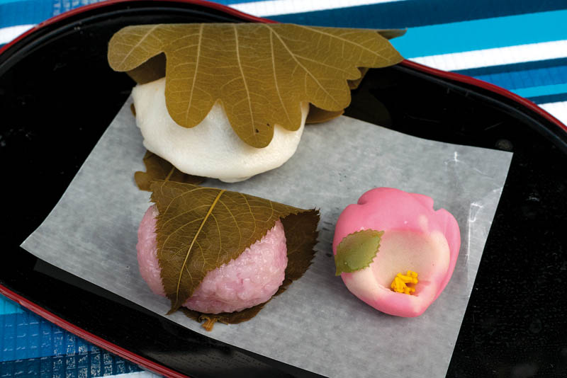 Wagashi-Tokyo-japanese traditional-sweet